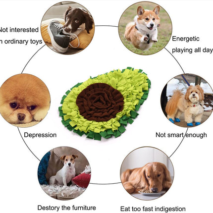 Pet Care Cartoz.