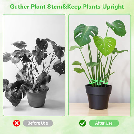Home & Garden Cartoz.