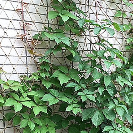Plant Support Net for Climbing Plants - 2 x 5 Meters - Jute Climbing Net - Natural & Sustainable.