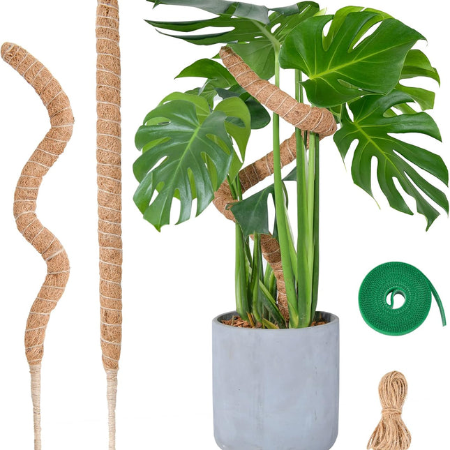 Flexible Plant Support for Climbing Plants - 60 cm Set of 2 - For Houseplants.