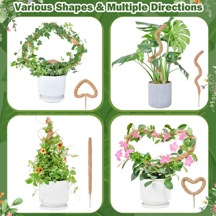 Flexible Plant Support for Climbing Plants - 60 cm Set of 2 - For Houseplants.