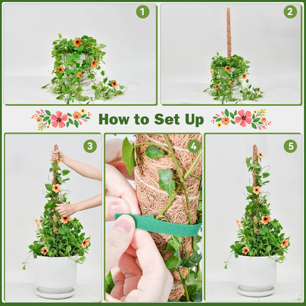 Flexible Plant Support for Climbing Plants - 60 cm Set of 2 - For Houseplants.