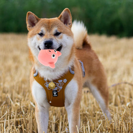 Interactive Dog Toy - Squeaky Pig Chew Toy - Beneficial for dogs and puppies - Makes playtime more fun for pets - Makes a purring sound.