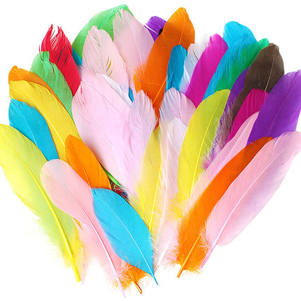 Coopserbil DIY Natural Colourful Craft Feathers (50 Count) One Size I.