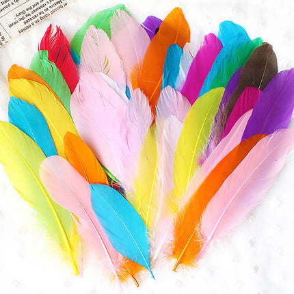 Coopserbil DIY Natural Colourful Craft Feathers (50 Count) One Size I.