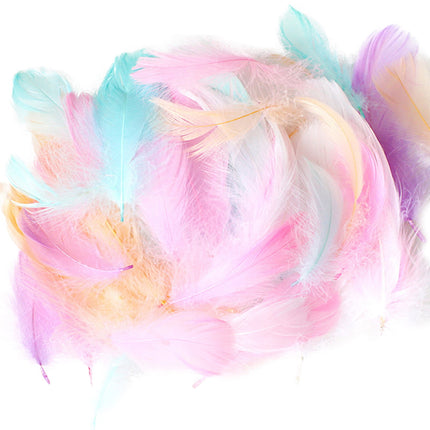Coopserbil DIY Natural Colourful Craft Feathers (50 Count) 5.0-15.0 cm Natural Colourful.