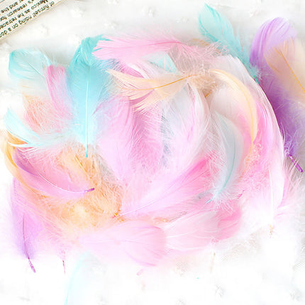 Coopserbil DIY Natural Colourful Craft Feathers (50 Count) 5.0-15.0 cm Natural Colourful.
