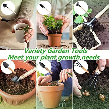 Small Garden Tool Set, 6 Pieces Iron Gardening Kit Including Hand Shovel, Transplant Shovel and Hand Rake with Wood Non-Slip Handle Perfect for Plant Lovers.