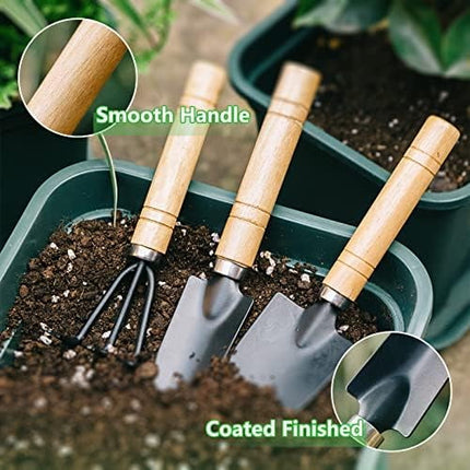 Small Garden Tool Set, 6 Pieces Iron Gardening Kit Including Hand Shovel, Transplant Shovel and Hand Rake with Wood Non-Slip Handle Perfect for Plant Lovers.