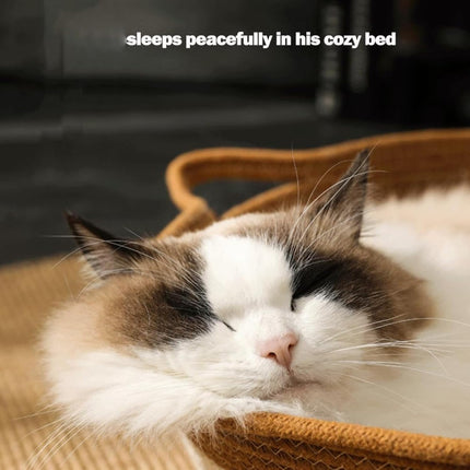 Stimulicat Cat Bed Rope Cotton, Stimuli cat Basket Bed, Cotton Rope Woven Round Cat Beds Basket with Built-in Teasing Ball, Handwoven Foldable Scratchable for Small & Large pet Green.