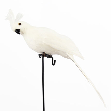 PALIFEUR Fake Parrot, 10 x 0.4 Inch Realistic Artificial Birds Model, Fade Birds for Garden Patio Yard Lawns Tropical Tree Wall, Decorative Birds White.
