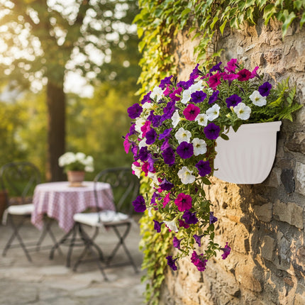 Tyidzon Semi-Circular Hanging Planters for Indoor Outdoor Plants, Wall Mount Flower Pot Holder Hanger for Indoor and Outdoor Use White.