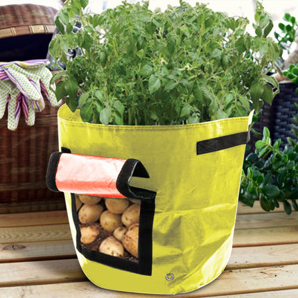 Suncoda Summer Savings 34x35cm Potato Grow Bag with Side Window & Handles 12" x 14" Yellow#2.