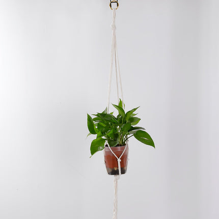 Home & Garden Cartoz.