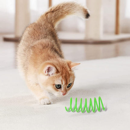 Pet Care Cartoz.