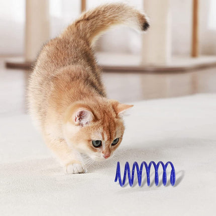 Pet Care Cartoz.