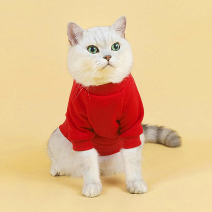 Pet Care Cartoz.