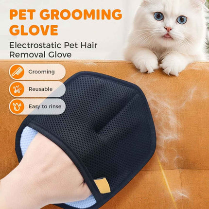 Pet Care Cartoz.