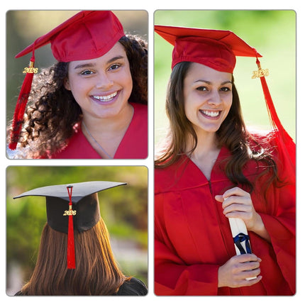 LGCASL 2026 Tassel Graduation, White Graduation Tassel, Tassel Charms for Graduations Cap Decorations, Tassels Memorial Grad Cords Class of 2026 High School Graduate Hat Ceremonies Accessories 1pc 2026 Graduation Season Hat Tassel Pendant White.