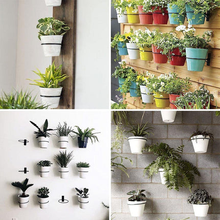 Home & Garden Cartoz.