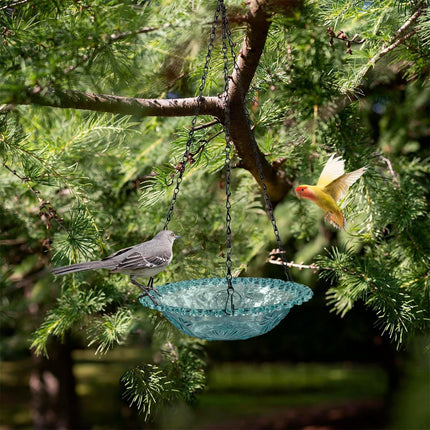 JWDX Bird Feeders for Outdoors Clearance! Hanging Bird Bath Plastic Bird Bath Plate Hanging Tray for Outdoors Hanging Bird Water or Bird Seed Hanging Bird Feeder for Outdoors Bird Bath Bowl S4-Blue.