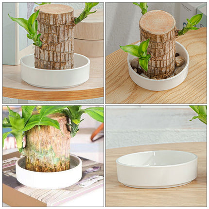 Worgeous Hydroponic Ceramic Tray Indoor Garden Pot Saucers Plant for Pots White.