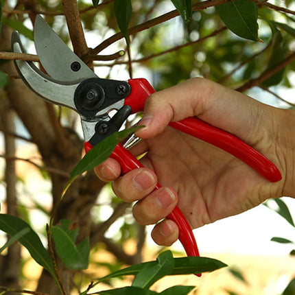 Masteelf 1 Set Red Grafting Pruner for Gardening 11.8*1.6in.