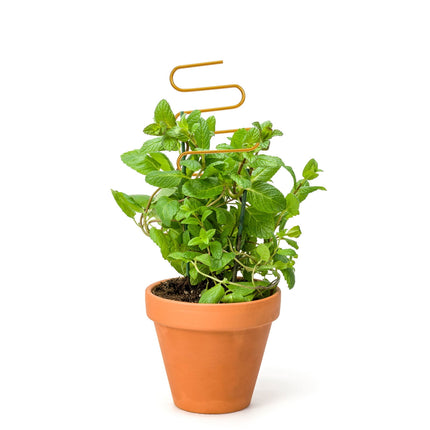 SWETRACE 2Pcs Curved Shape Iron Garden Trellis for Indoor Potted Plants Home Decorative Support 13.4x4.1in.