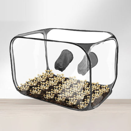 Still Air Box, Mushroom Grow Kit, Portable Compact Still Air Box Mycology Balck Smile Home.
