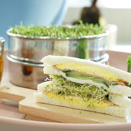 Stainless Steel Sprout Propagation Set 3-Tier Germination Trays 3Tier Germination Smile Home.