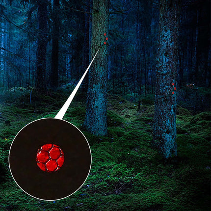 100 Pcs Reflective Tacks Trail Marking Tacks Reflective Trail Tacks Glow Tacks Reflective Trail Markers Mark Trail Reflective Thumb Tacks for Hunting Hiking Camping Tree Stand Green.