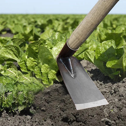 Cetilox Outdoor Hoe Garden Tool -Garden Hula Hoes for Weeding Gardening - Weeding Loop Stirrup Hoe for Planting Vegetables Flower Hoes - Planting Vegetables Flower Hoes Without handle C.