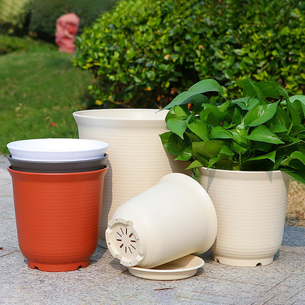 Home & Garden Cartoz.