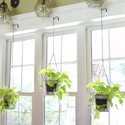 Home & Garden.
