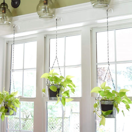 4.5 Inch Plant Hanger,Sturdy Hanging Plant Bracket Hooks Outdoor,Plant Hangers,Plant Hanger Bracket,Bird Feeder Hanger for Bird Feeders, Planters, Lanterns, Wind Chimes Indoor Outdoor,(Black,1 PCS) 4 PCS White.