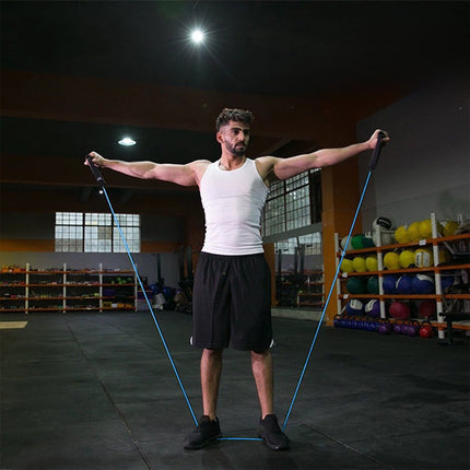 Resistance Bands with Handles, Exercise Bands with Handles, Single Resistance Bands for Resistance Training, Physical Therapy,Home Workouts, Fitness, Pilates,Shoulder And Neck Stretching Equipment Blue.