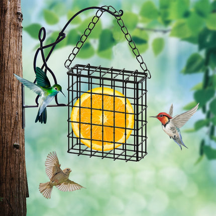Square Suet Bird Feeder Cage, Heavy-Duty Iron with Protective Coating, Holds One Cake for Nuthatches and Chickadees, Easy-Clean Design, Rust-Resistant Outdoor Hanging Feeder for Backyard Birds Black.