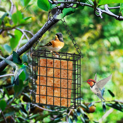 Square Suet Bird Feeder Cage, Heavy-Duty Iron with Protective Coating, Holds One Cake for Nuthatches and Chickadees, Easy-Clean Design, Rust-Resistant Outdoor Hanging Feeder for Backyard Birds Black.