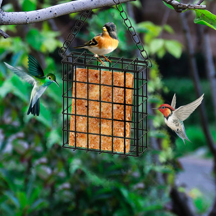 Square Suet Bird Feeder Cage, Heavy-Duty Iron with Protective Coating, Holds One Cake for Nuthatches and Chickadees, Easy-Clean Design, Rust-Resistant Outdoor Hanging Feeder for Backyard Birds Black.