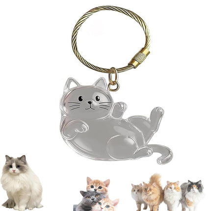 Keychain - Pet Hair - Storage Box - Pendants - Capsule Toy - Dog Hair Capsule - Memorial Pendant - Bag Keychain - Pendants - Memory Capsule Pendant - Cat Hair Collection - DIY - 1 Piece.