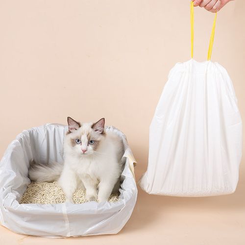 Pet Care.