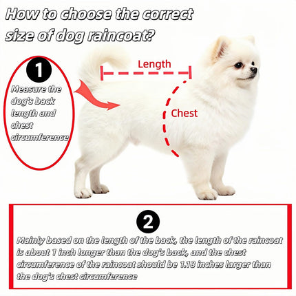 Dog Raincoat - Dog Raincoat - Waterproof Dog Coat - Transparent Rain Poncho - Dog Clothing - Rain Suit - Hooded Jacket - Dog Accessories - Walking Supplies - Dog Supplies - Outdoor Pet - Transparent - 1 Piece.