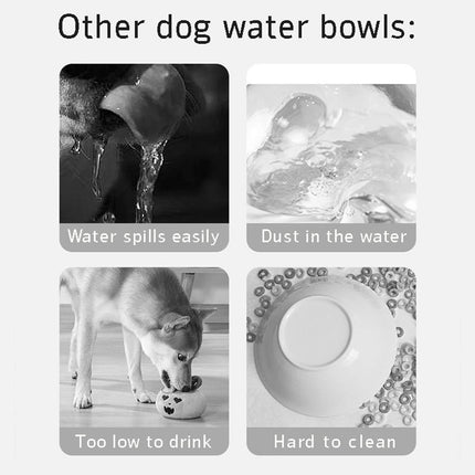 Pet Care Cartoz.