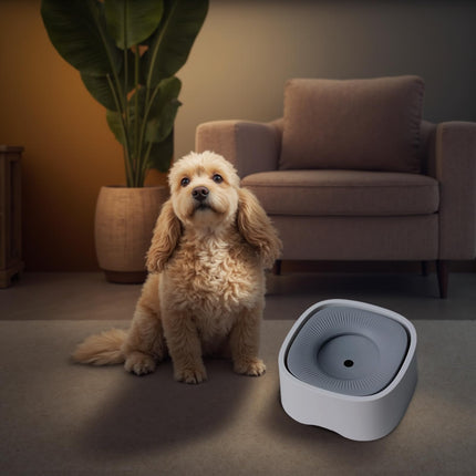 Pet Care Cartoz.