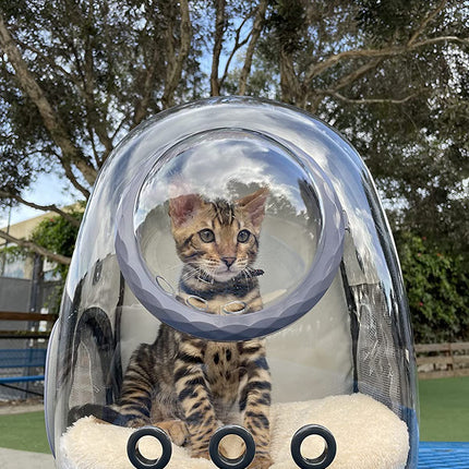 Cat Backpack - Cat Travel Basket - Cat Carrier - Small Dog Backpack - Transparent Pet Backpack - Cat Transport Box - Dog Travel Bag - Breathable Cat Basket - Backpack with Window - Pet Supplies - Hiking Backpack - Black - 1 Piece.