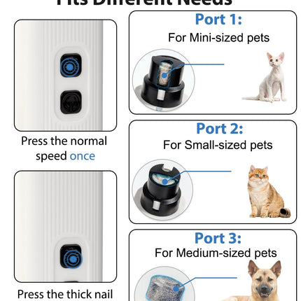 Pet Care.