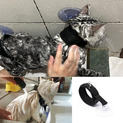 Dog leash - Cat leash - Coat care - Dog accessories - Cat accessories - Grooming table - Pet supplies - Grooming set - Bath - Shower - Suction cup - Safety leash - Collar - Dogs - Cats - Pet shop - Black - 2 pieces.