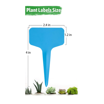 Plant labels - Plant plugs - Plant labels - Plant signs - Garden labels - Vegetable garden - Plugs - Sowing labels - Herb plugs - Growing labels - Plant labels - Name tags - Writing boards - T-labels - 6x10 cm - Multicoloured - 200 pieces.