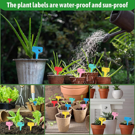 Plant labels - Plant plugs - Plant labels - Plant signs - Garden labels - Vegetable garden - Plugs - Sowing labels - Herb plugs - Growing labels - Plant labels - Name tags - Writing boards - T-labels - 6x10 cm - Multicoloured - 200 pieces.