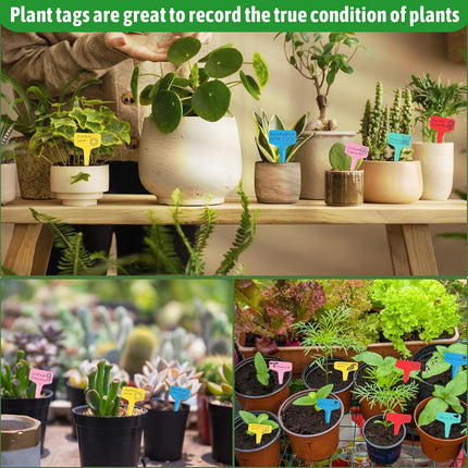 Plant labels - Plant plugs - Plant labels - Plant signs - Garden labels - Vegetable garden - Plugs - Sowing labels - Herb plugs - Growing labels - Plant labels - Name tags - Writing boards - T-labels - 6x10 cm - Multicoloured - 200 pieces.